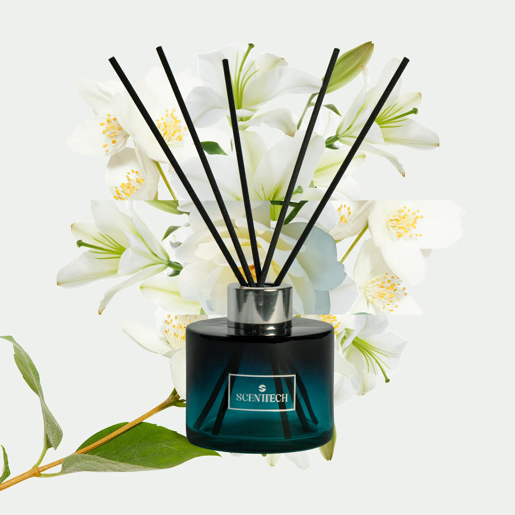 Jasmine Dream Reed Diffuser