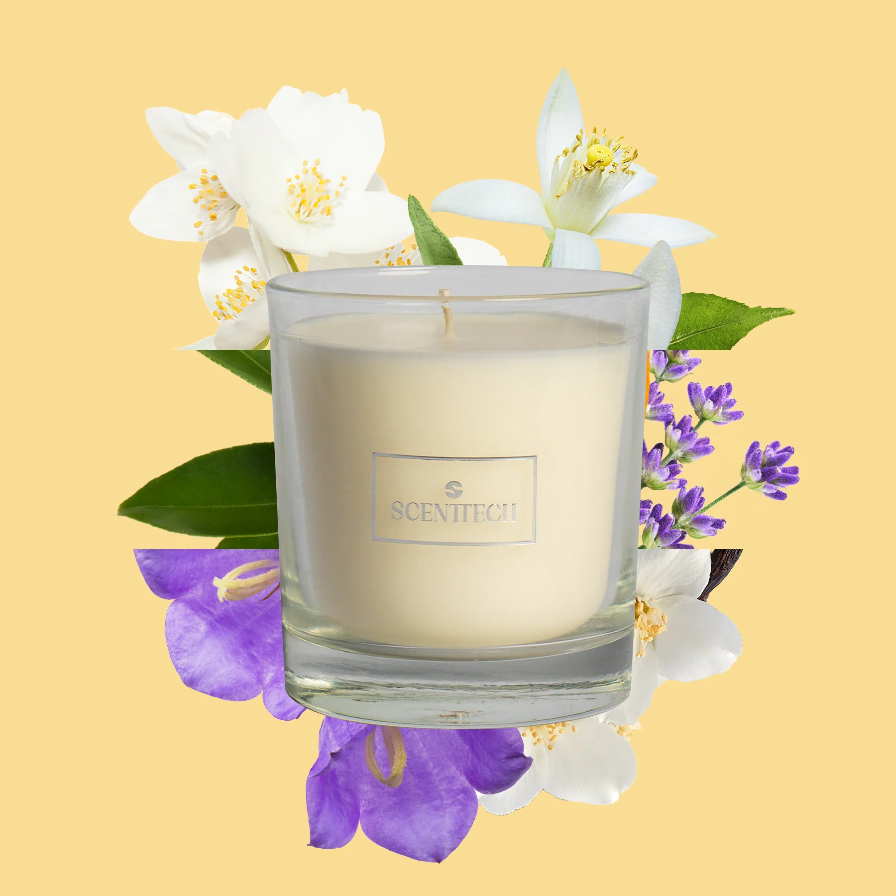 Petal Pops Scented Candle
