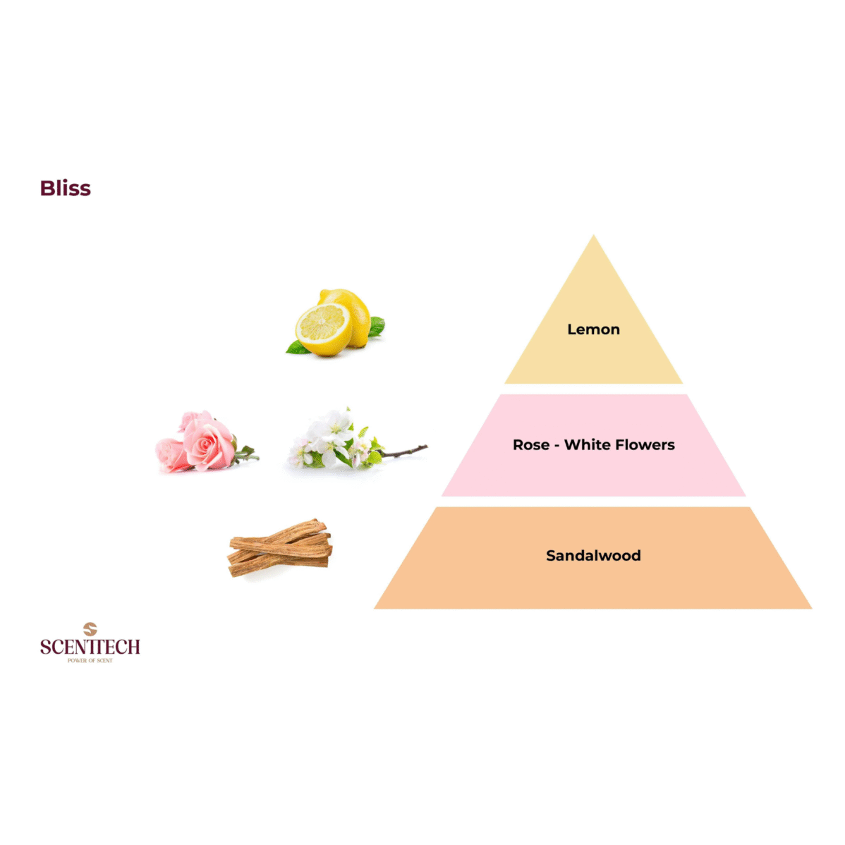 Bliss Reed Diffuser - Image 2
