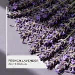 French Lavender Fragrance Oil