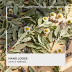 Hang Loose Fragrance Oil