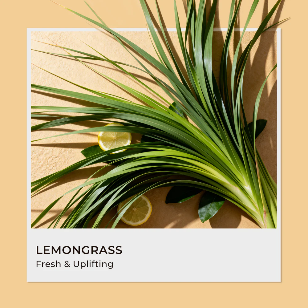 Lemongrass Fragrance Oil