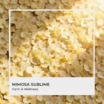 Mimosa Sublime Fragrance Oil