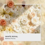 White Royal Fragrance Oil